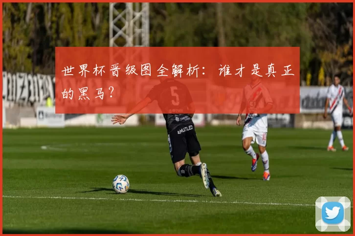 世界杯晋级图全解析:谁才是真正的黑马?