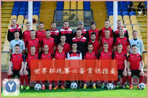 世界杯观赛必备常识指南