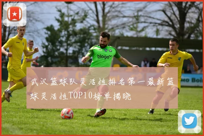 武汉篮球队灵活性排名第一最新篮球灵活性TOP10榜单揭晓