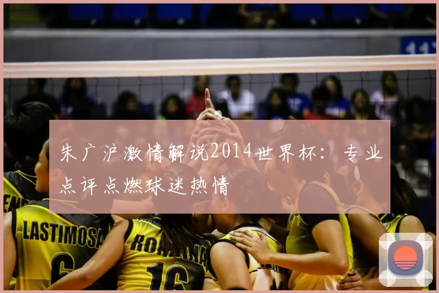 朱广沪激情解说2014世界杯:专业点评点燃球迷热情
