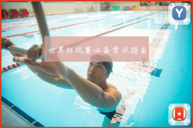世界杯观赛必备常识指南