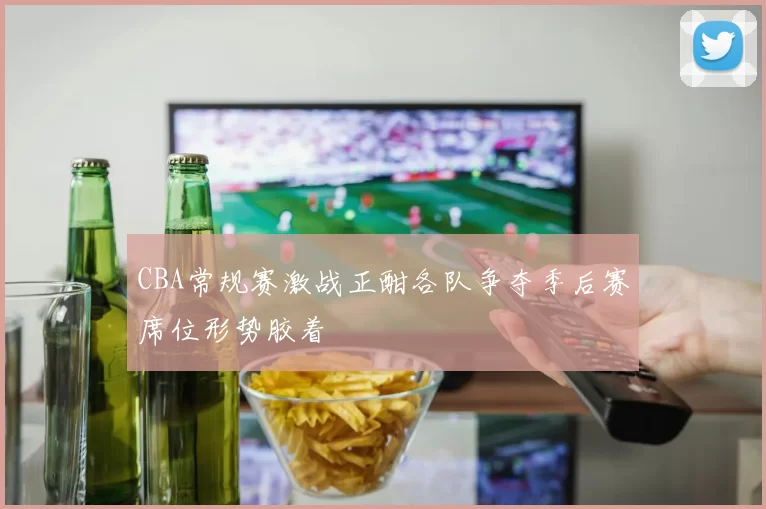 CBA常规赛激战正酣各队争夺季后赛席位形势胶着
