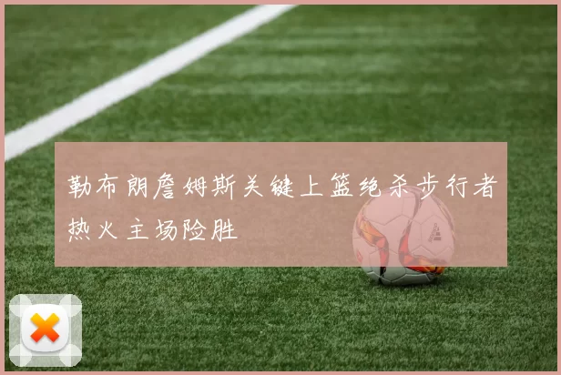 勒布朗詹姆斯关键上篮绝杀步行者热火主场险胜