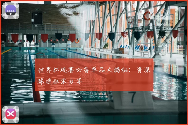 世界杯观赛必备单品大揭秘:资深球迷独家分享