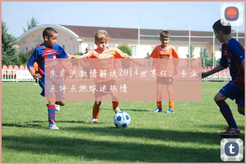 朱广沪激情解说2014世界杯：专业点评点燃球迷热情