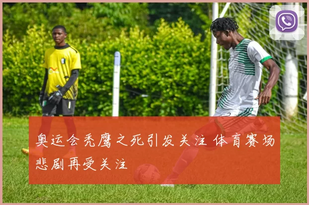 奥运会秃鹰之死引发关注 体育赛场悲剧再受关注