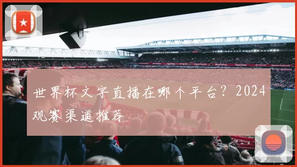 世界杯文字直播在哪个平台？2024观赛渠道推荐