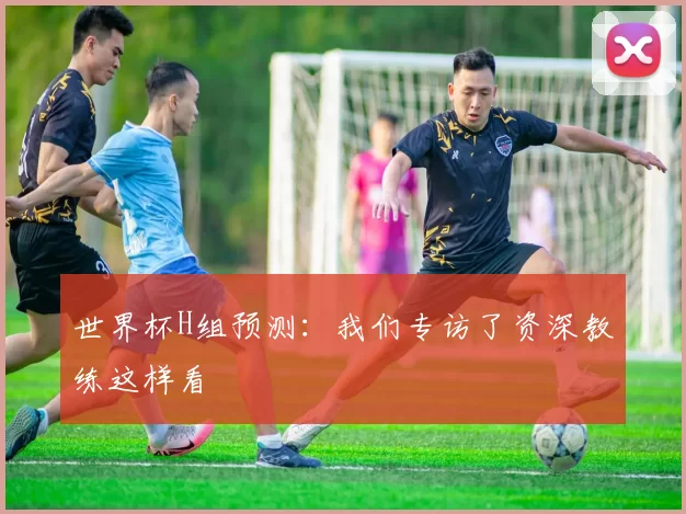 世界杯H组预测：我们专访了资深教练这样看