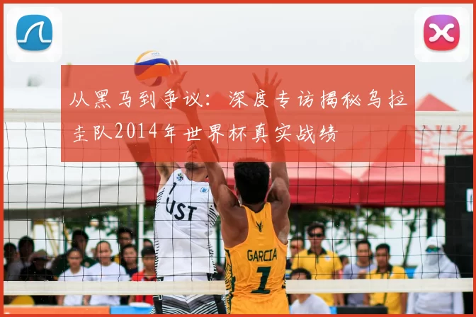 从黑马到争议：深度专访揭秘乌拉圭队2014年世界杯真实战绩