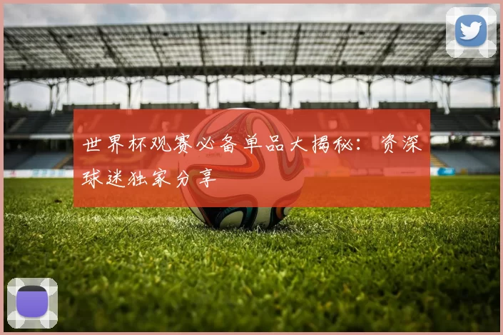世界杯观赛必备单品大揭秘：资深球迷独家分享
