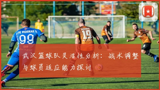 武汉篮球队灵活性分析：战术调整与球员适应能力探讨