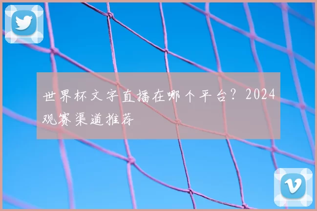 世界杯文字直播在哪个平台?2024观赛渠道推荐