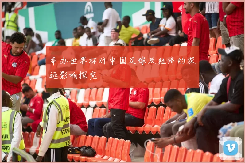 举办世界杯对中国足球及经济的深远影响探究